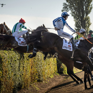 135. Velká pardubická se Slavia pojišťovnou